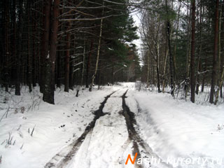 nashi-kurorty.ru