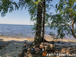 nashi-kurorty.ru