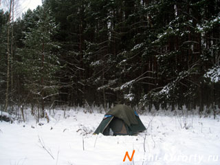 nashi-kurorty.ru