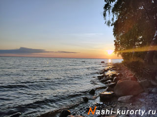 nashi-kurorty.ru